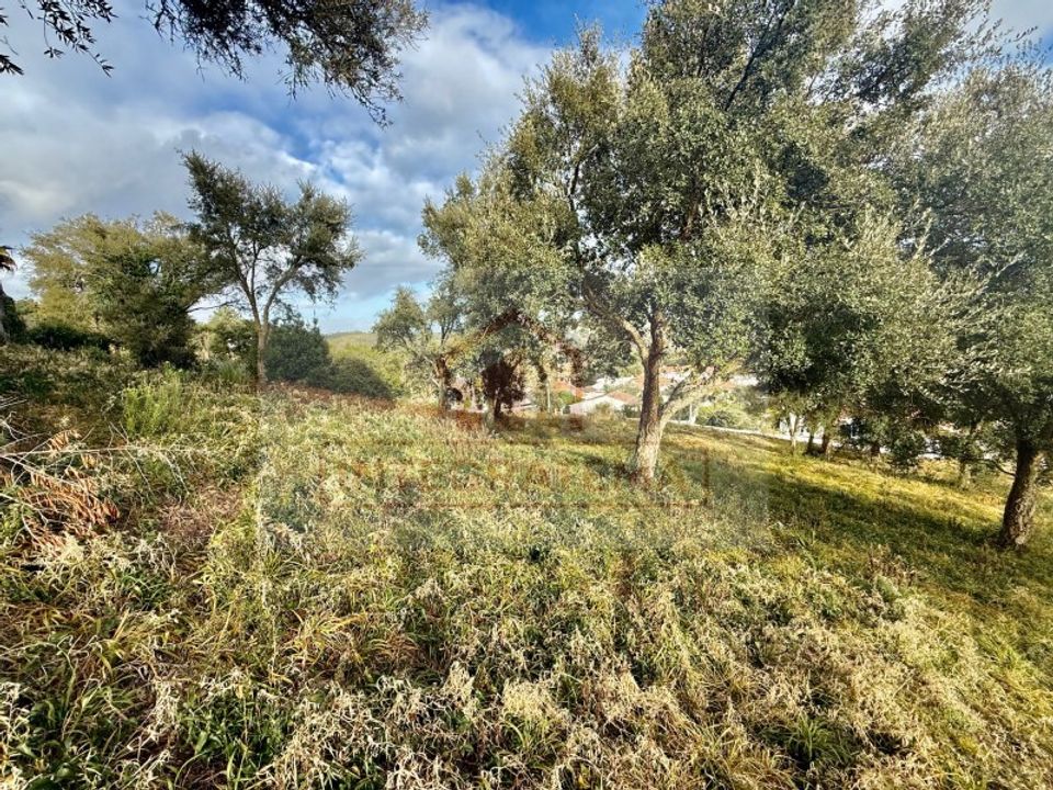 Helårsgrund i Caldas da Rainha, Leiria - foto 5