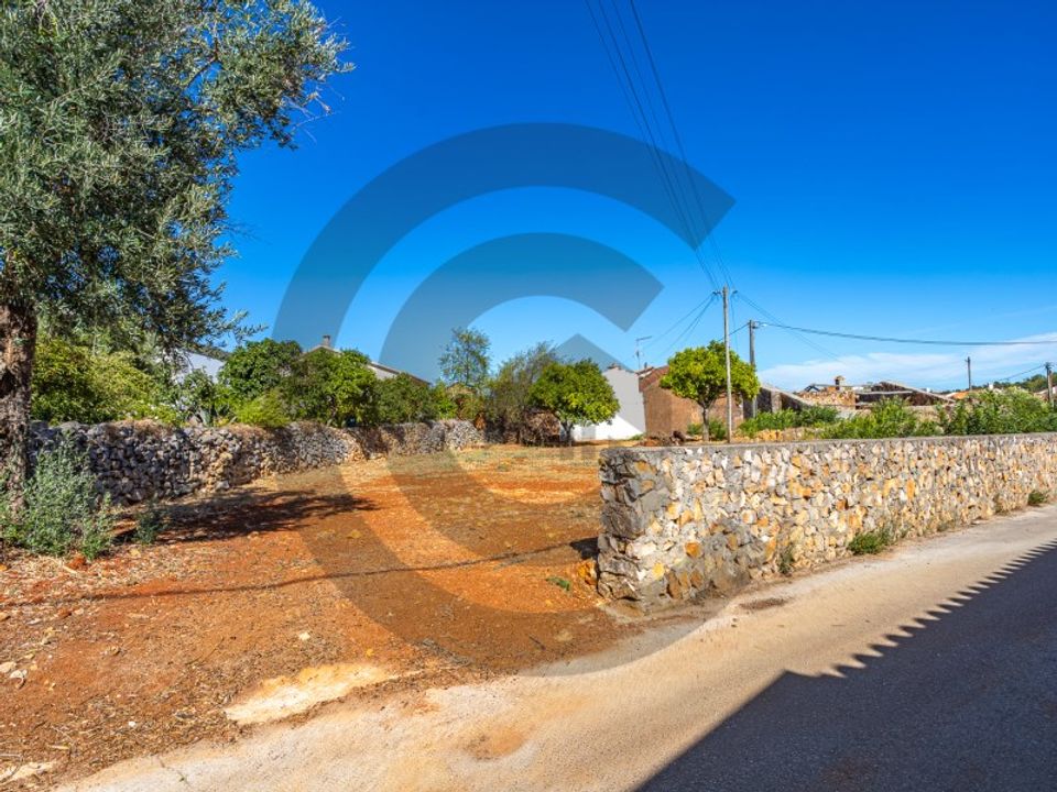 Helårsgrund i Torres Novas, Santarem - foto 1