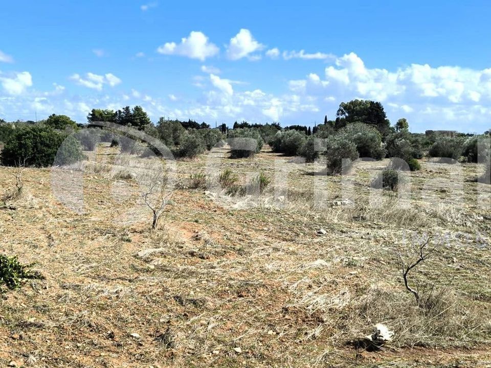 Erhvervsejendom i Gallipoli, Lecce - foto 3
