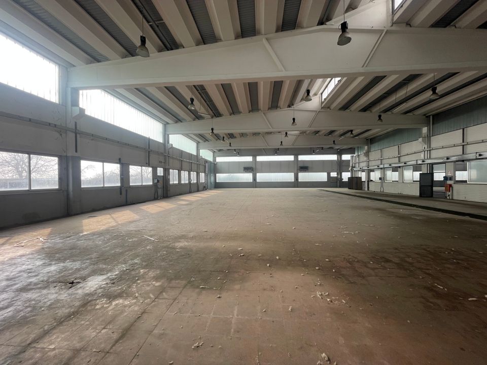 Erhvervsejendom i Codogno, Lodi - foto 1