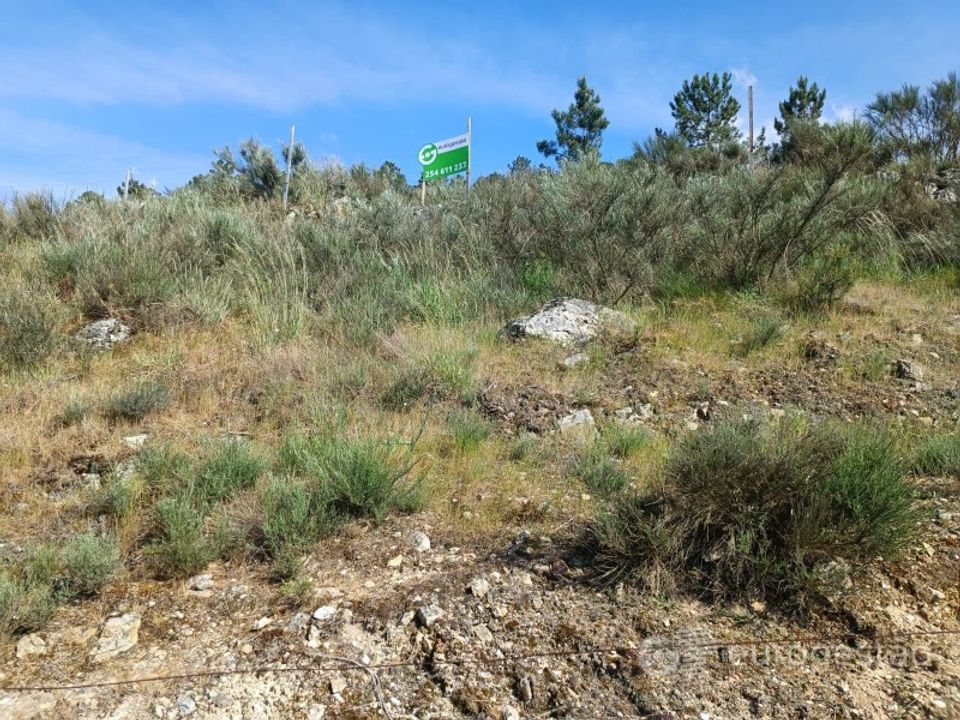 Helårsgrund i Parada do Bispo e Valdigem, Viseu - foto 2