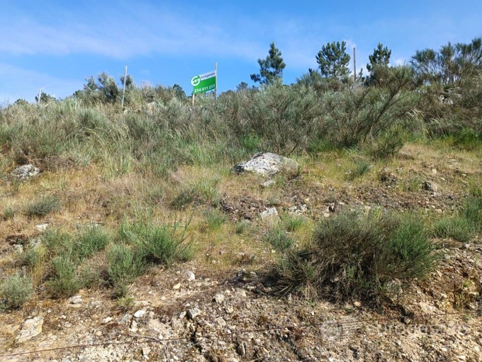 Helårsgrund i Parada do Bispo e Valdigem, Viseu - foto 5