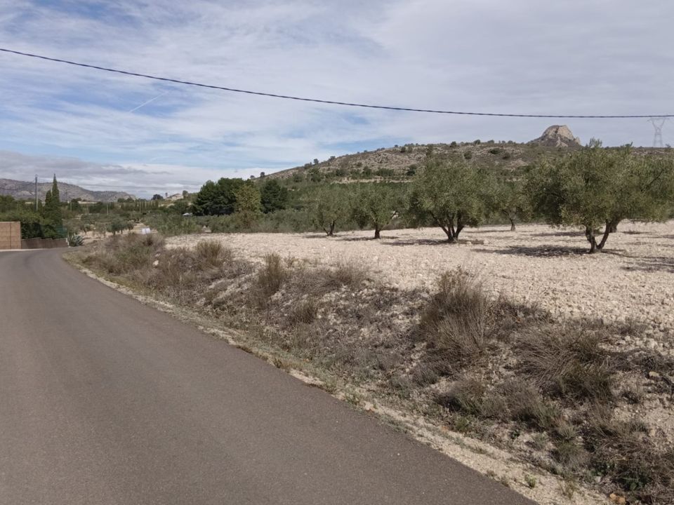 Helårsgrund i Salinas, Alicante - foto 1