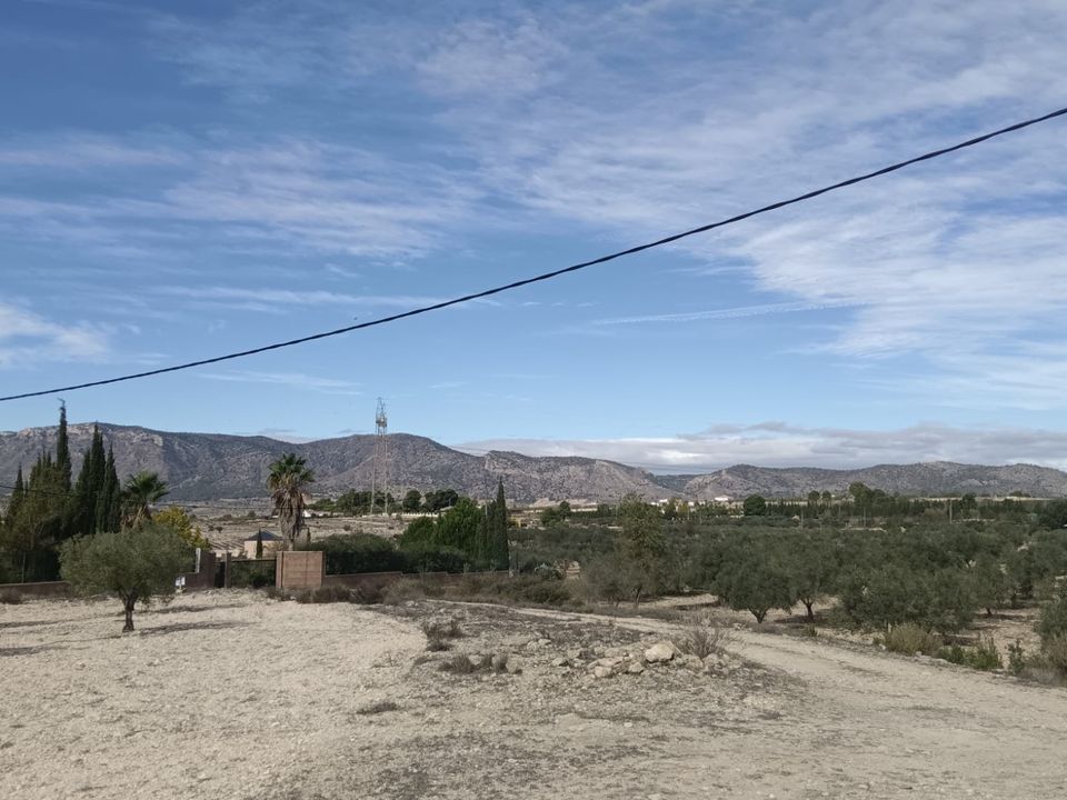 Helårsgrund i Salinas, Alicante - foto 3