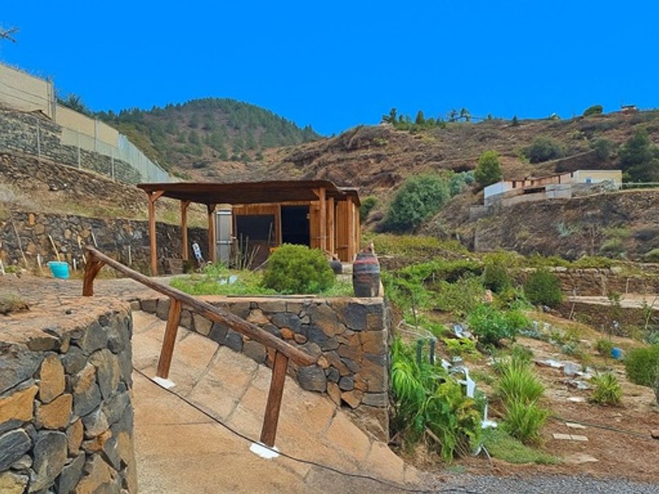 Landejendom i Granadilla de Abona, Tenerife - foto 5