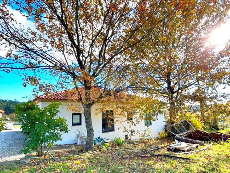Farm i Gestaco, Porto - foto 2