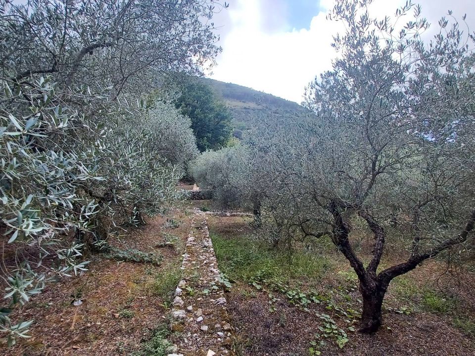 Helårsgrund i Sonnino, Latina - foto 2