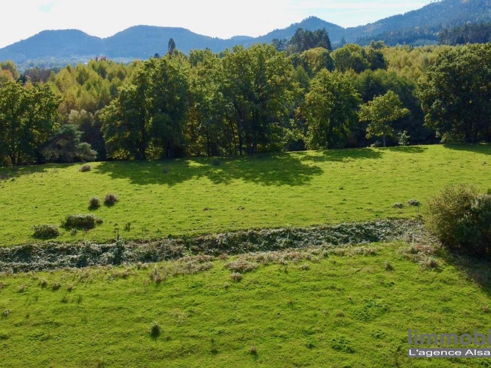 Helårsgrund i Taintrux, Vosges - foto 3