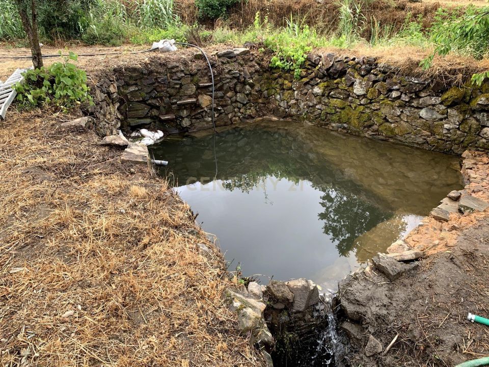 Tomt i Fundao, Castelo Branco - bilde 2