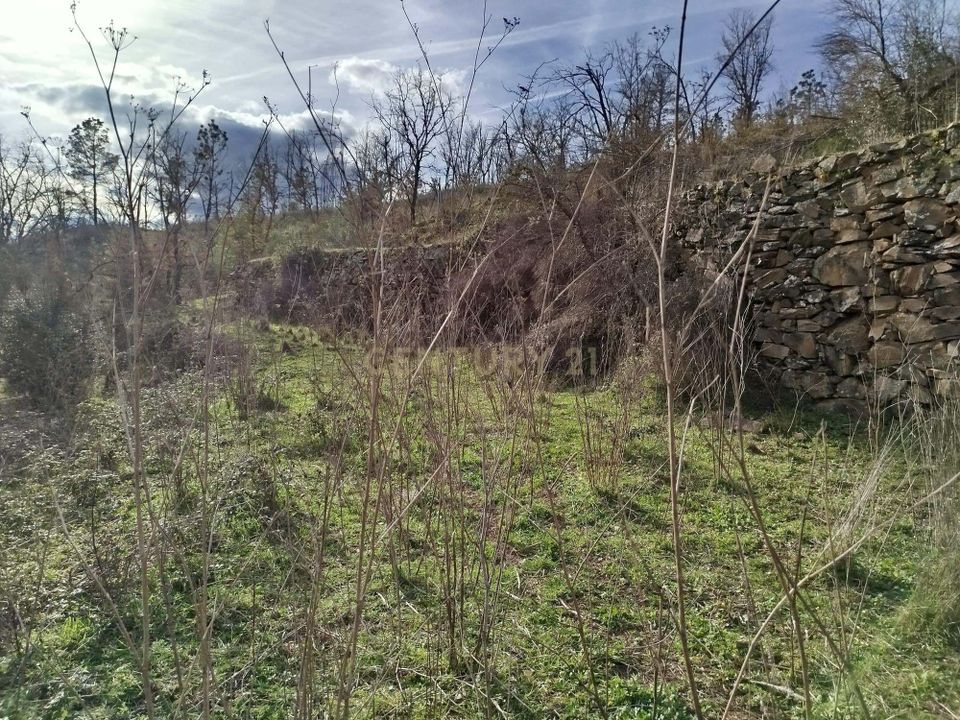Tomt i Fundao, Castelo Branco - bilde 4