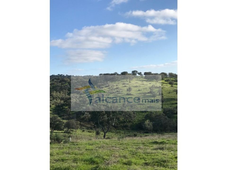 Landejendom i Safara, Beja - foto 2