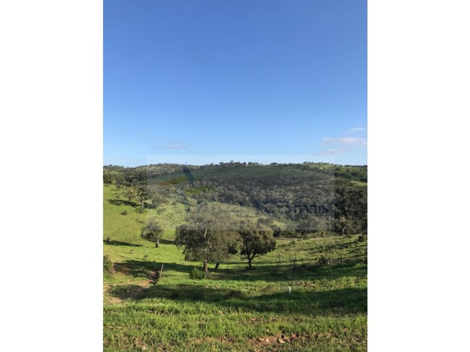 Landejendom i Safara, Beja - foto 4