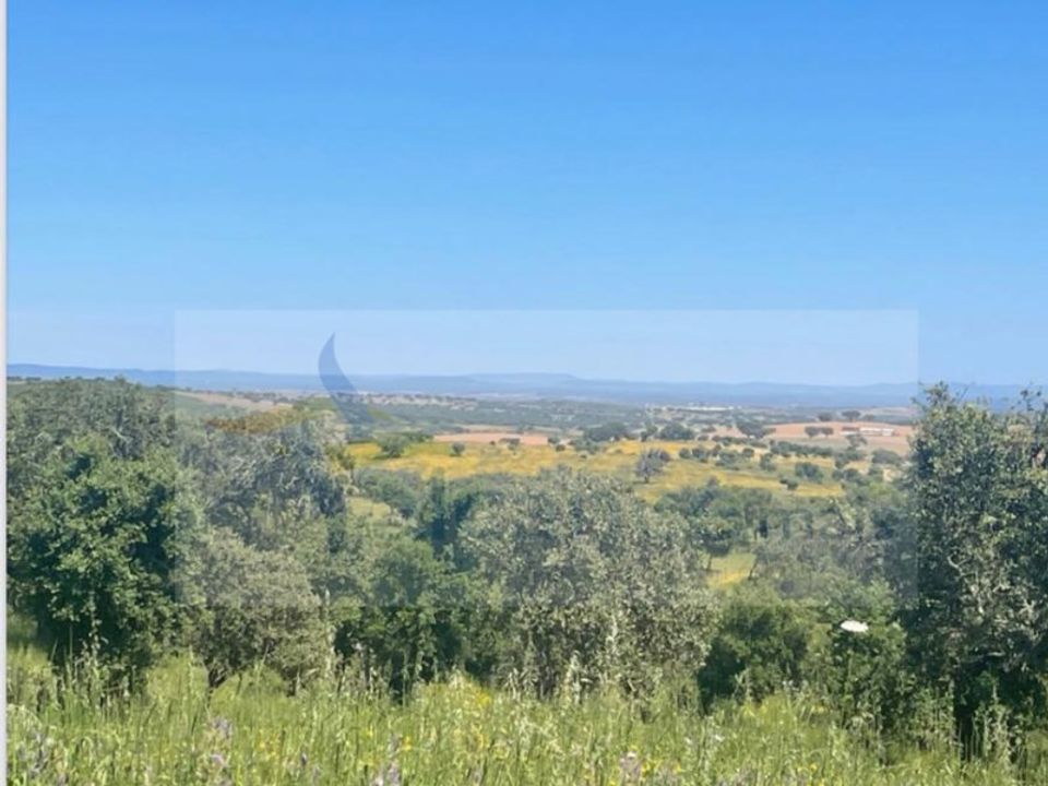 Landejendom i Reguengos de Monsaraz, Evora - foto 4