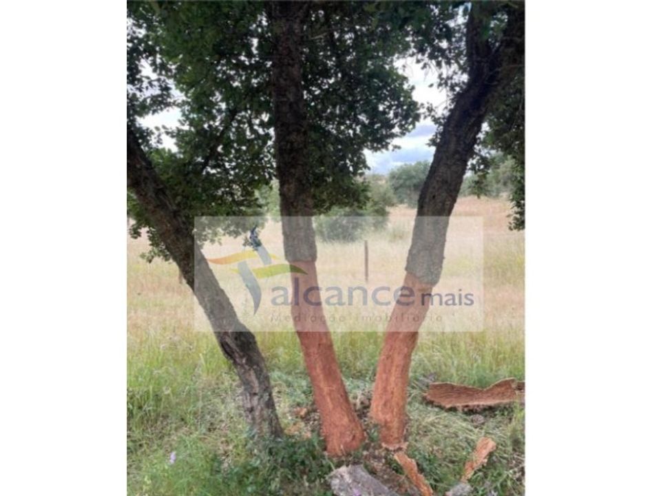 Landejendom i Reguengos de Monsaraz, Evora - foto 2