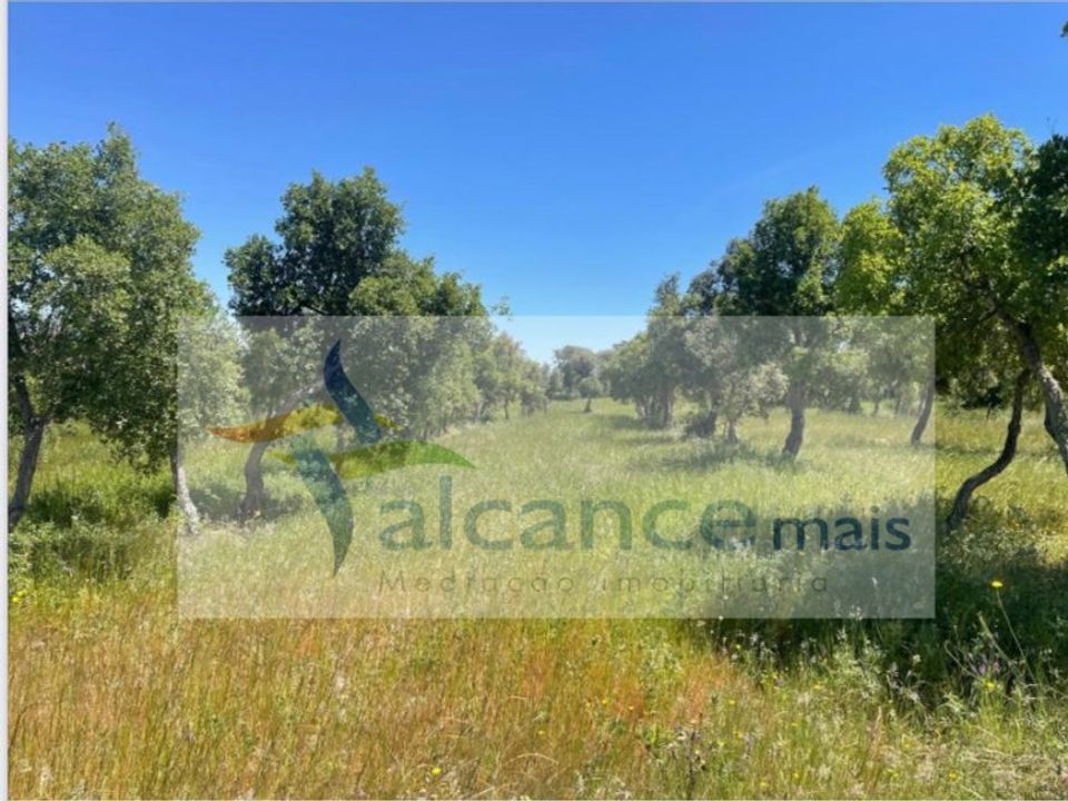 Landejendom i Reguengos de Monsaraz, Evora - foto 1
