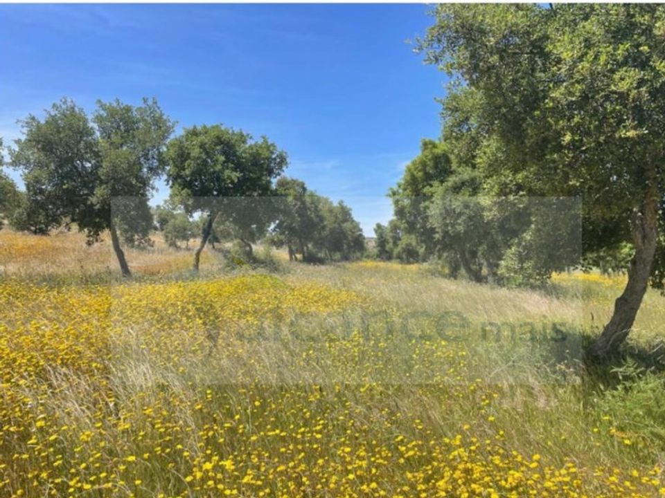 Landejendom i Reguengos de Monsaraz, Evora - foto 3