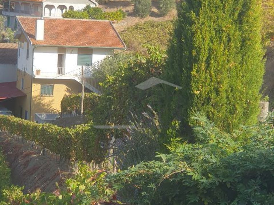 Farm i Vila Real, Vila Real - foto 2