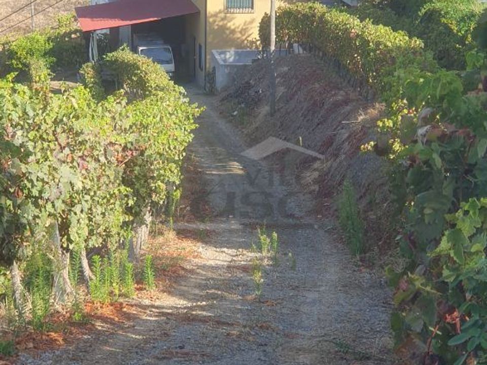 Farm i Vila Real, Vila Real - foto 3