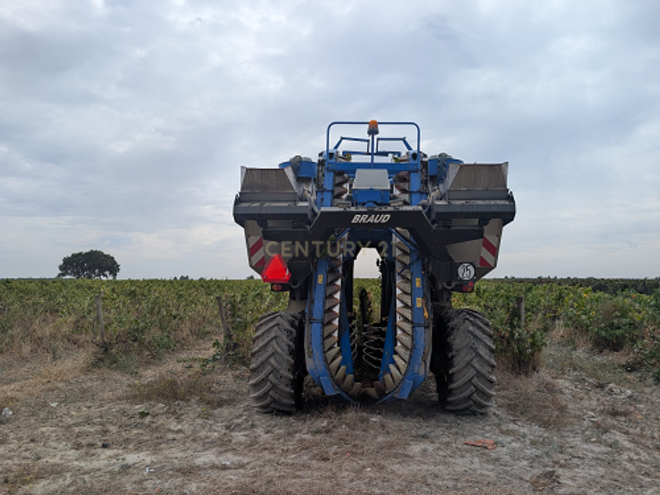Helårsgrund i Palmela, Setubal - foto 4