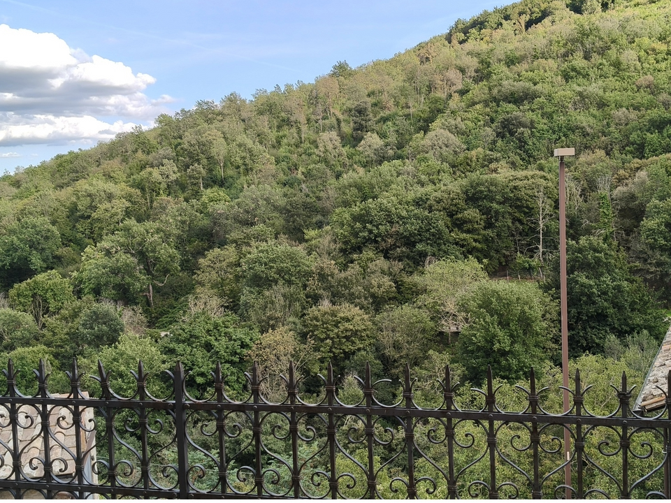 Villa in Avigliano Umbro, Terni - foto 4