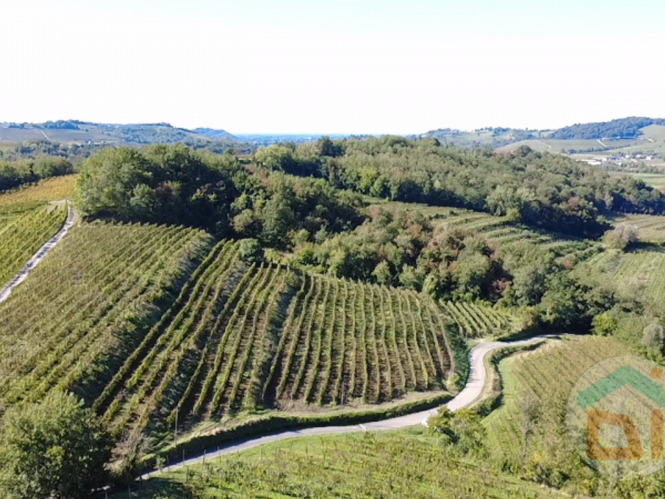 Villa i Dolegna del Collio, Gorizia - foto 5