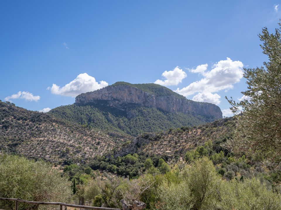 Finca i Orient, Mallorca - foto 5
