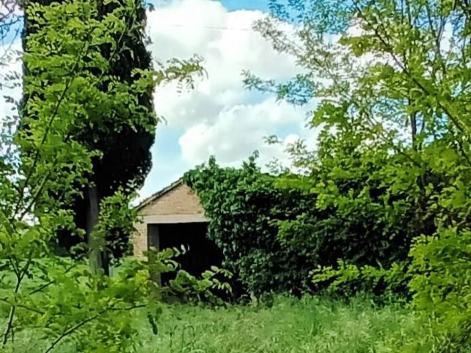 Farm hus i Cetona, Siena - foto 4