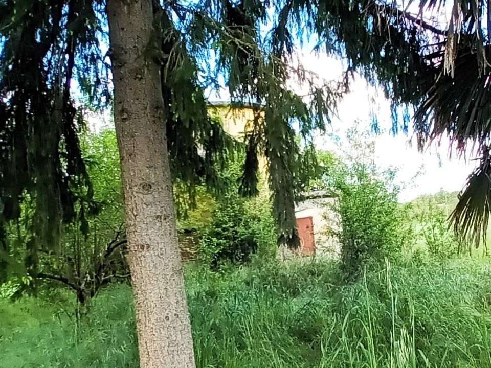 Farm hus i Cetona, Siena - foto 5