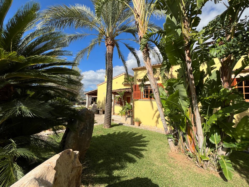 Finca i Inca, Mallorca - foto 4