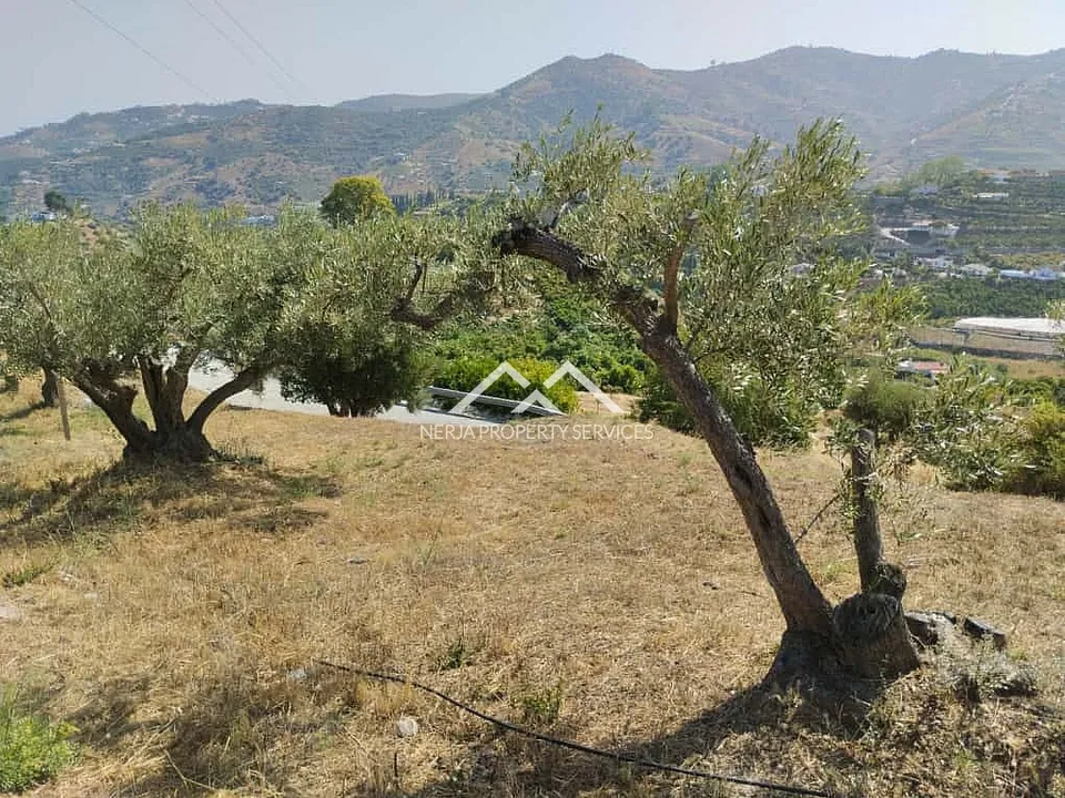 Helårsgrund i Frigiliana, Malaga - foto 4