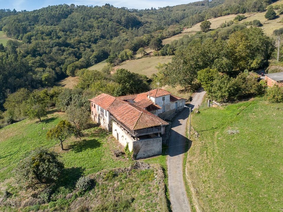Willa: Salas, Asturias – zdjęcie 3