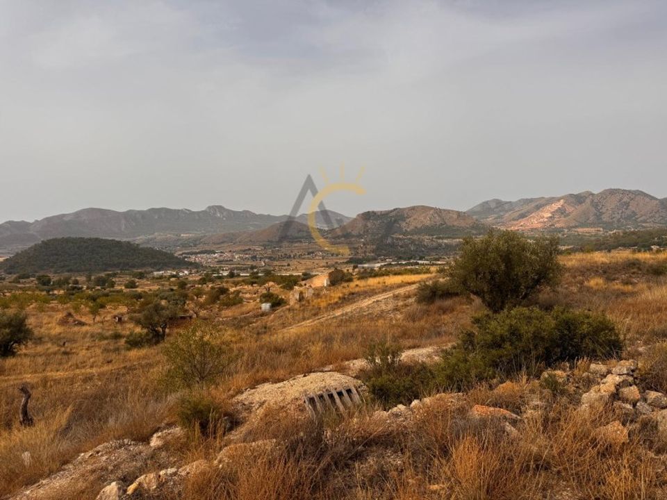 Villa i Monovar, Alicante - foto 2