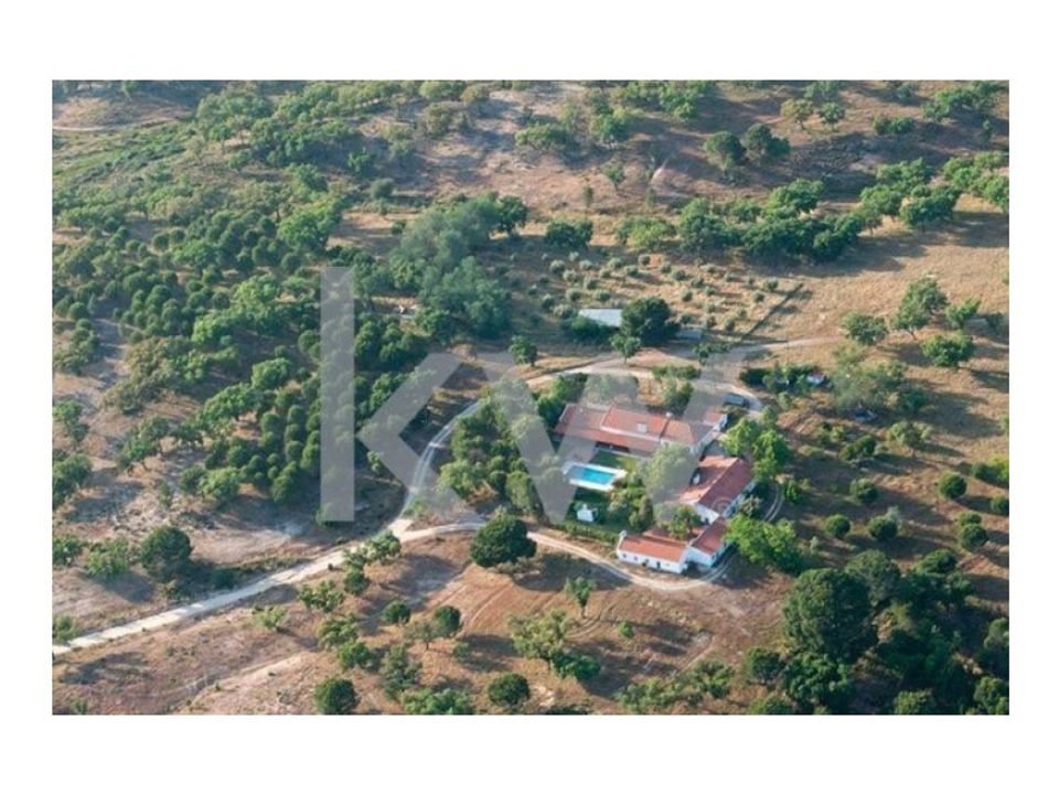Gård i Montargil, Portalegre - bilde 1