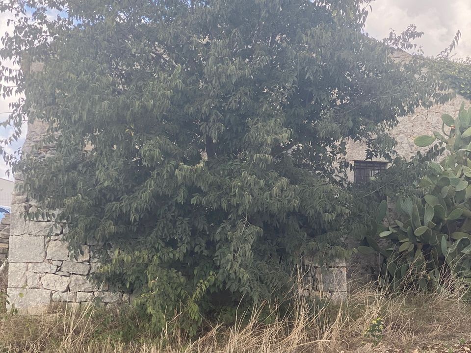 Lejlighed i Modica, Ragusa - foto 2