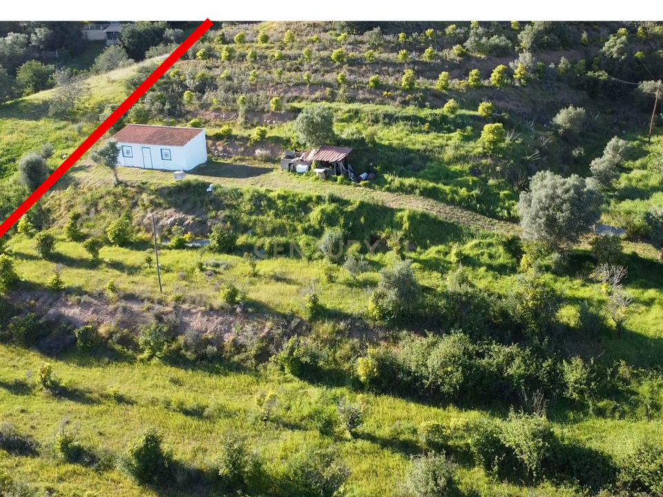 Farm hus i Silves, Faro - foto 4