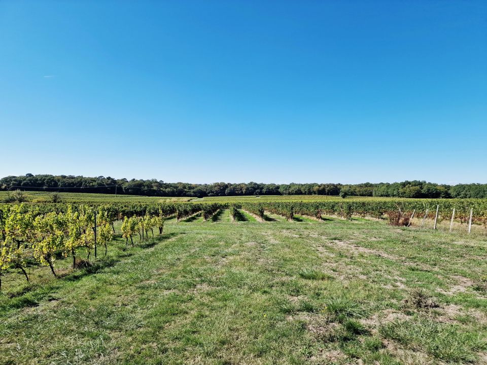 Villa i Sauveterre-de-Guyenne, Gironde - foto 2
