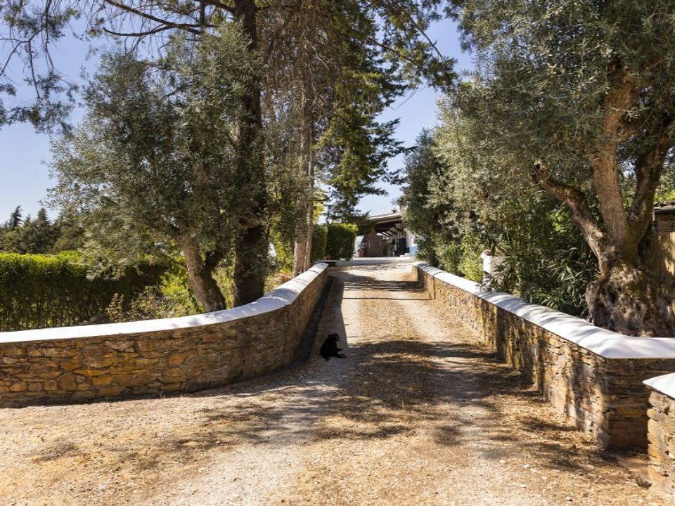 Farm i Estremoz, Evora - foto 2