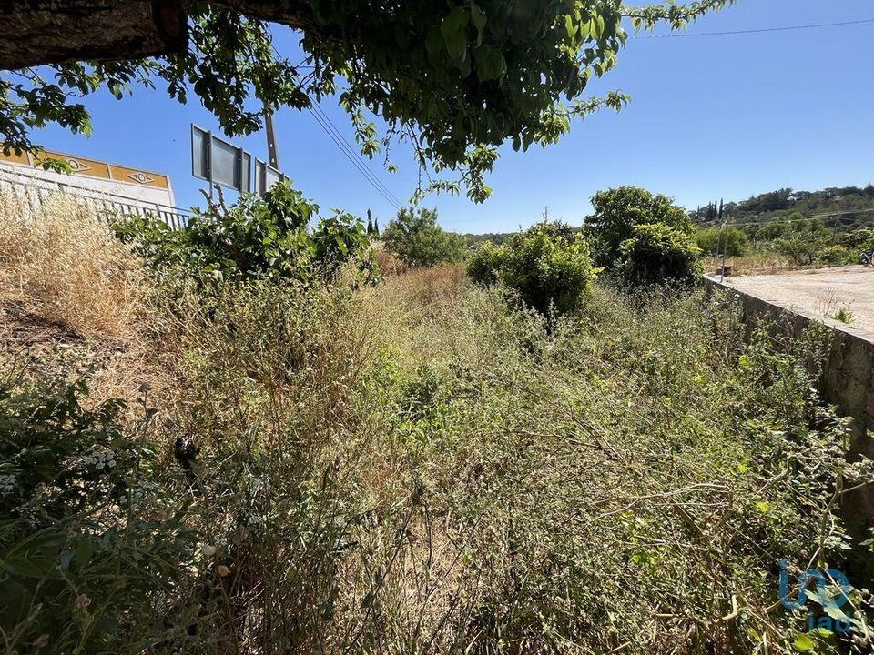 Helårsgrund i Sagres, Faro - foto 5