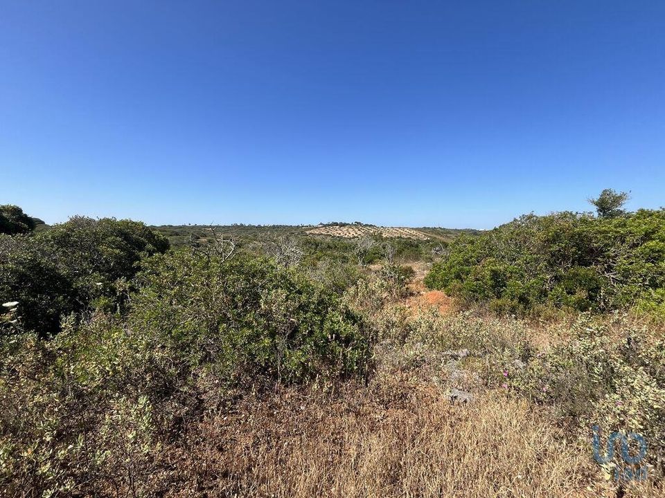 Terra a Sagres, Faro - foto 1