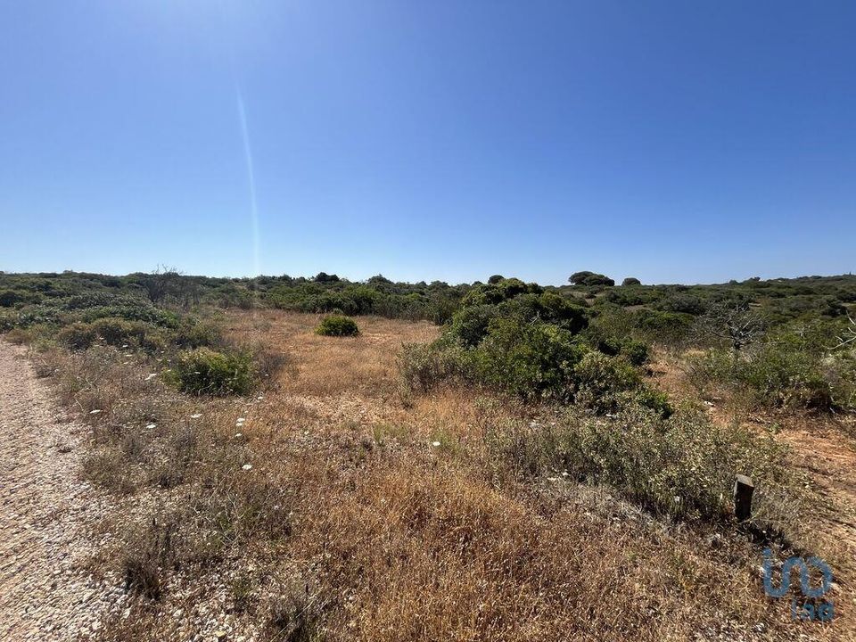 Terra a Sagres, Faro - foto 2