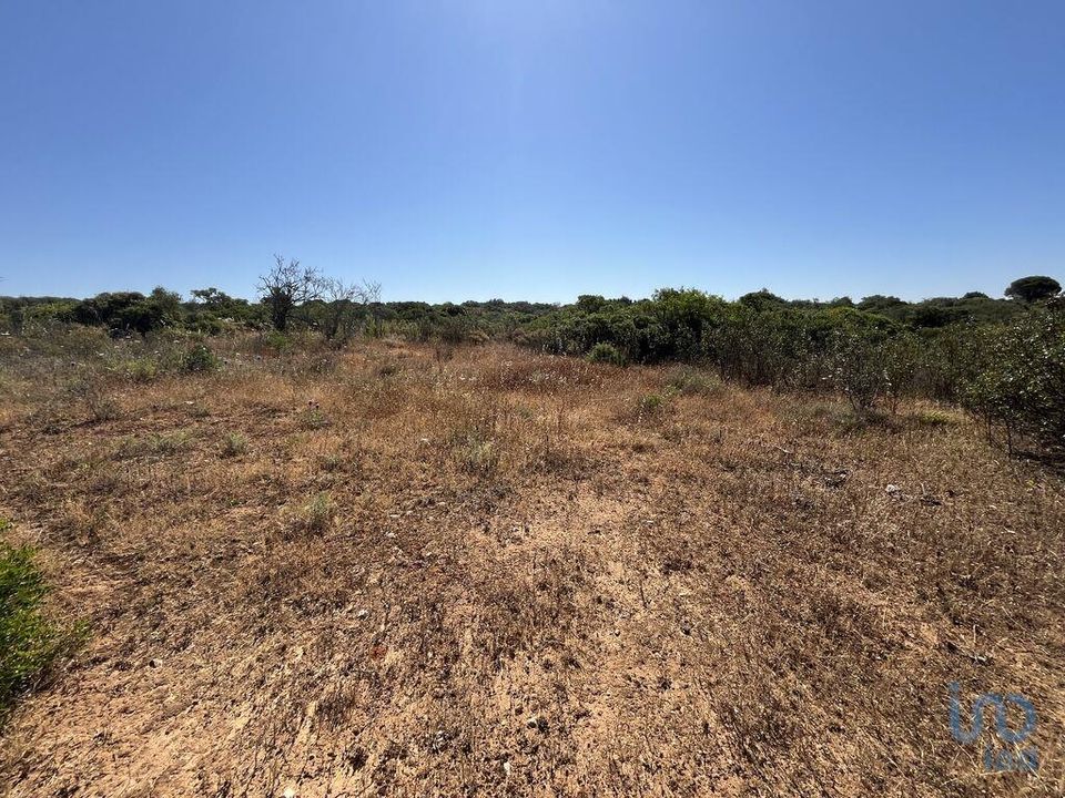 Terra a Sagres, Faro - foto 3