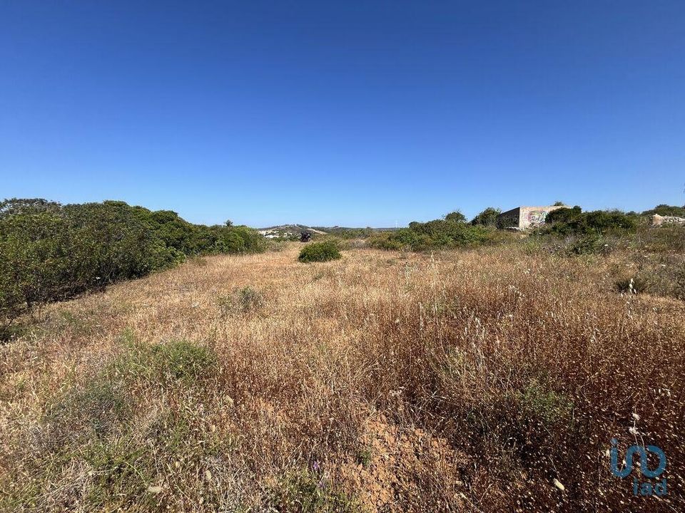 Terra a Sagres, Faro - foto 4
