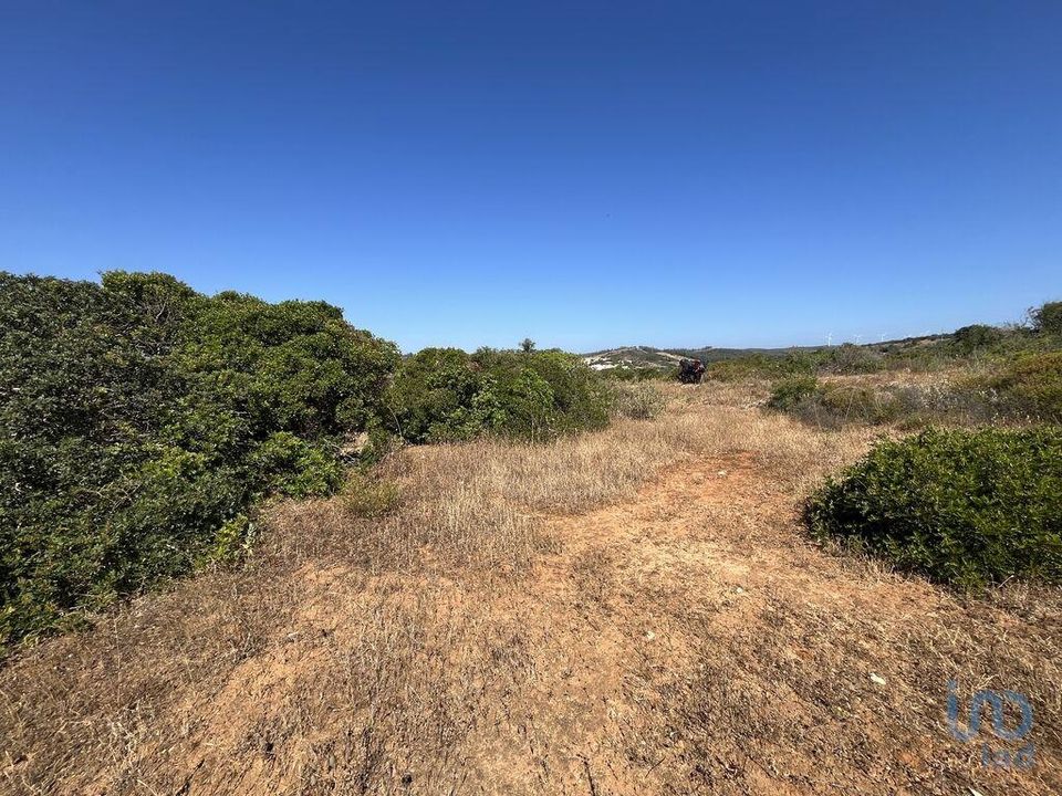 Terra a Sagres, Faro - foto 5