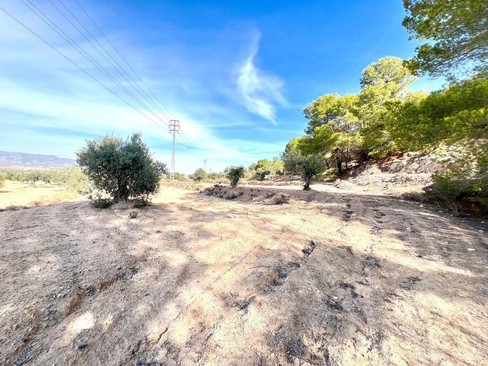 Masia a Pinoso, Alicante - foto 4