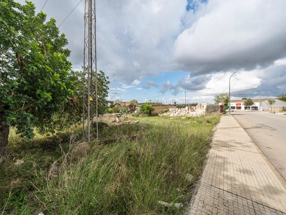 Helårsgrund i Felanitx, Mallorca - foto 1