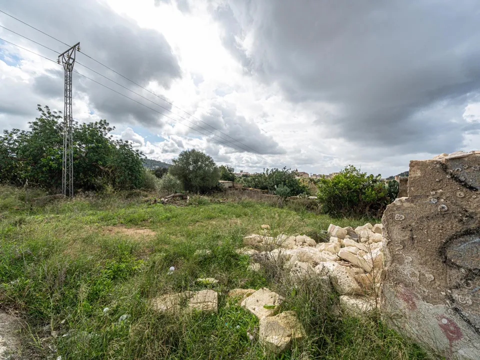 Helårsgrund i Felanitx, Mallorca - foto 2