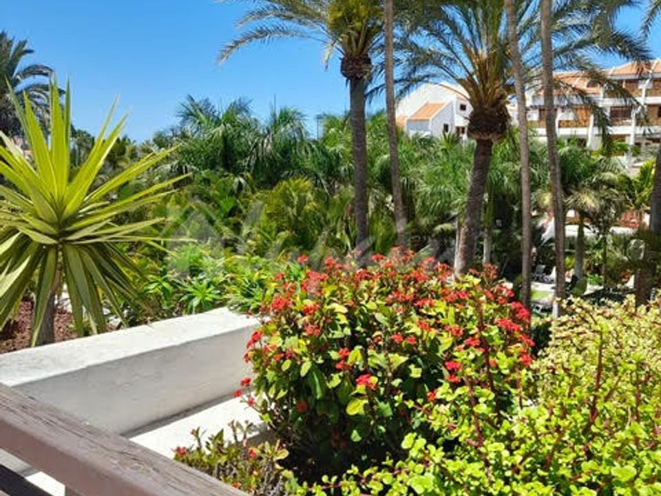 Studio i Playa De Las Americas, Tenerife - foto 4