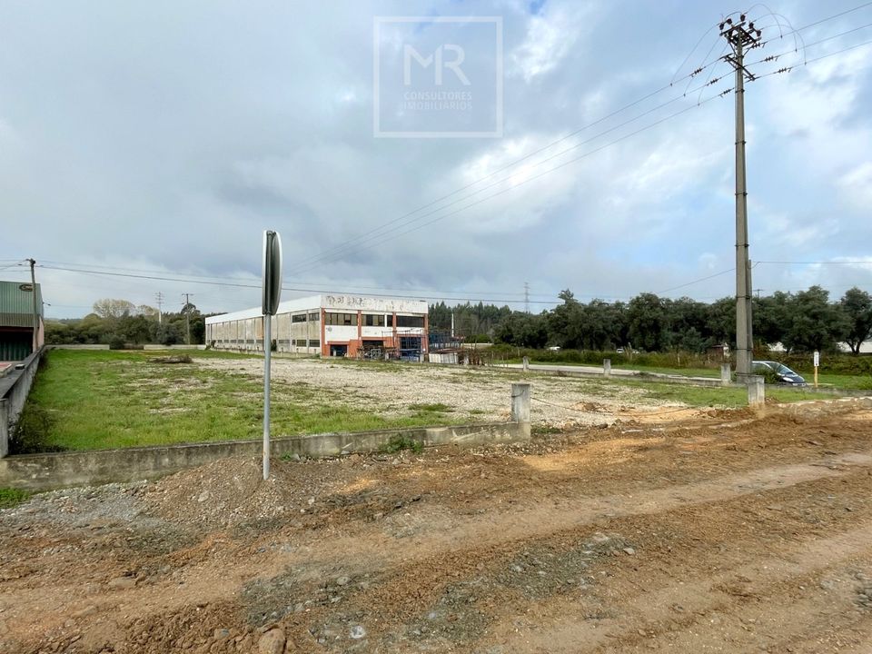 Helårsgrund i Anadia, Aveiro - foto 3