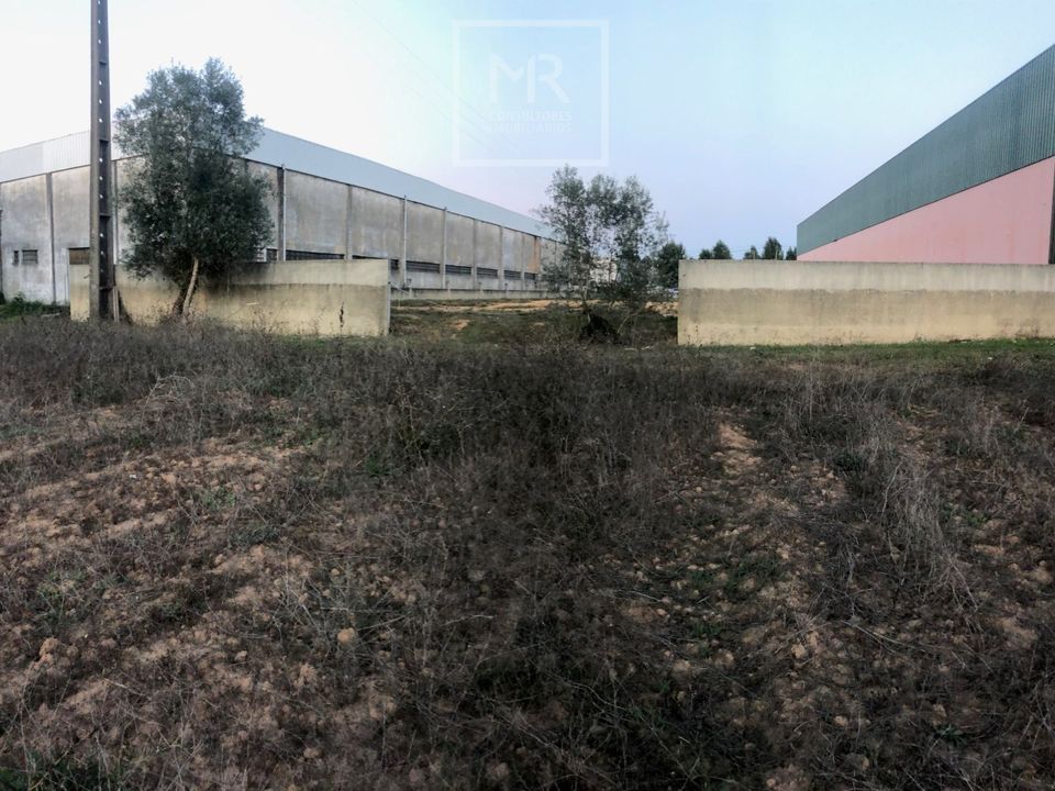 Helårsgrund i Anadia, Aveiro - foto 4
