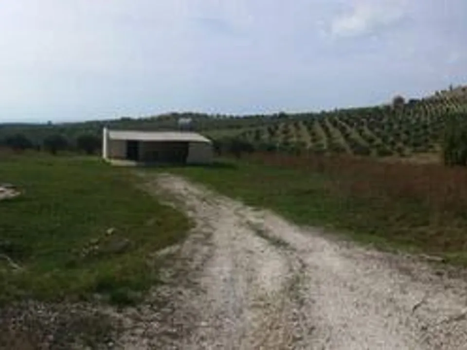 Villa - Cianciana, Agrigento - photo 3
